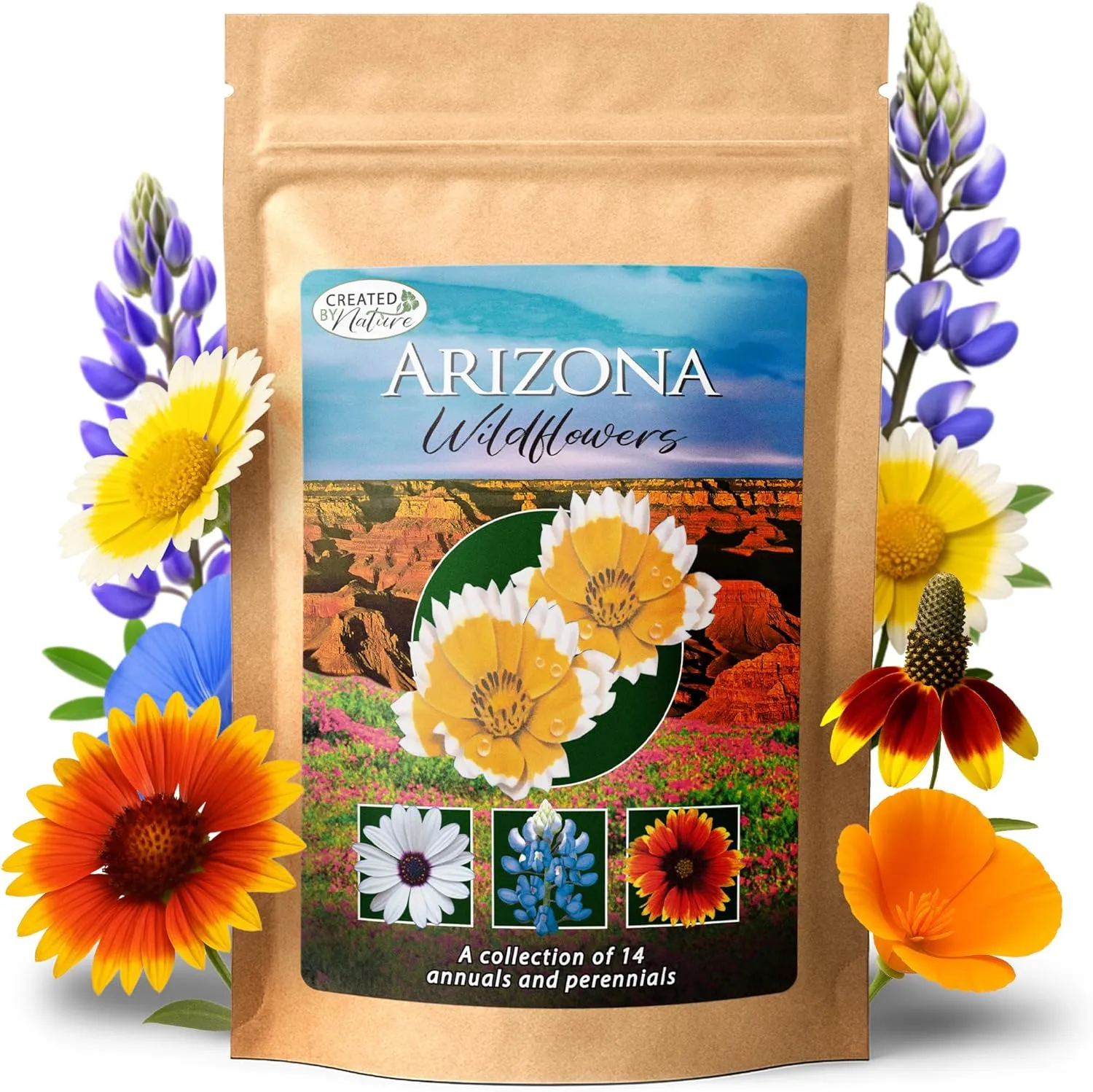 Created By Nature Arizona Wildflower Seed Mix with Poppy and Lupine Seedds, 14 Flower Varieties, 30,000  Seeds