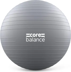 Exercise Ball for Workouts, Anti-Burst and Slip Resistant, Swiss Yoga Ball for Pregnancy, Stability, Fitness and Physical Therapy, 4 Sizes, with Pump
