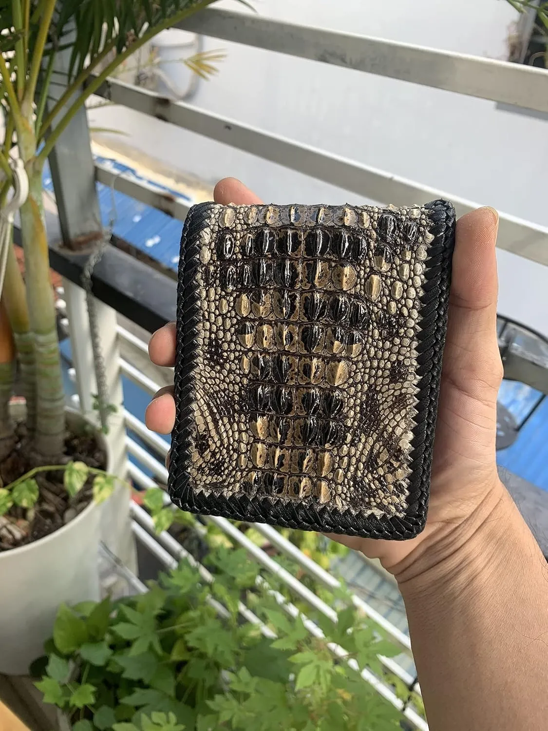 Genuine crocodile leather wallets men alligator leather Wallets for Mens skin mens alligator wallets skin wallet for men (Origin Natural)