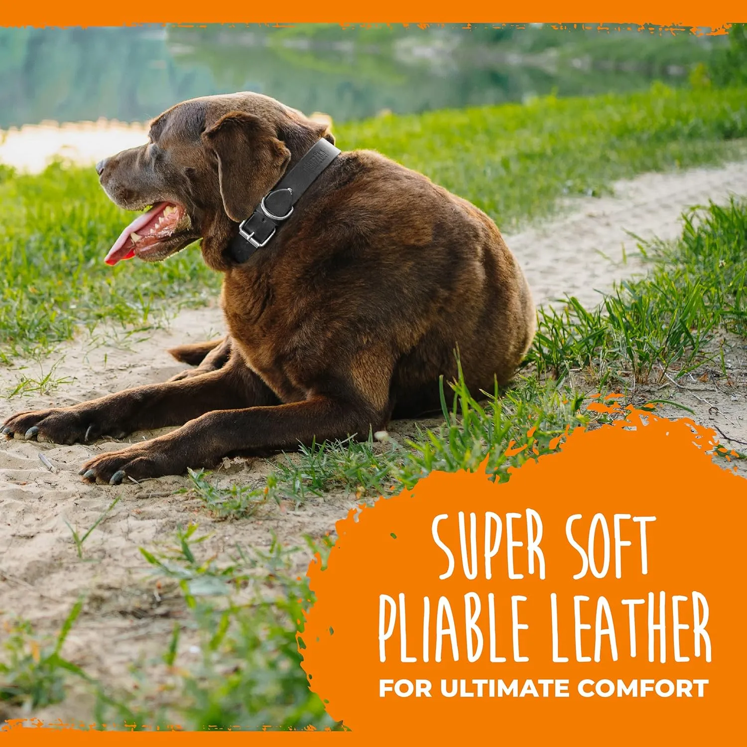 Mighty Paw Leather Dog Collar - Genuine Distressed Leather - Strong Metal Buckle - Ultimate Comfort - Modern Style for All Dogs Breeds - Comfort Puppy Collar - (Medium - Black)