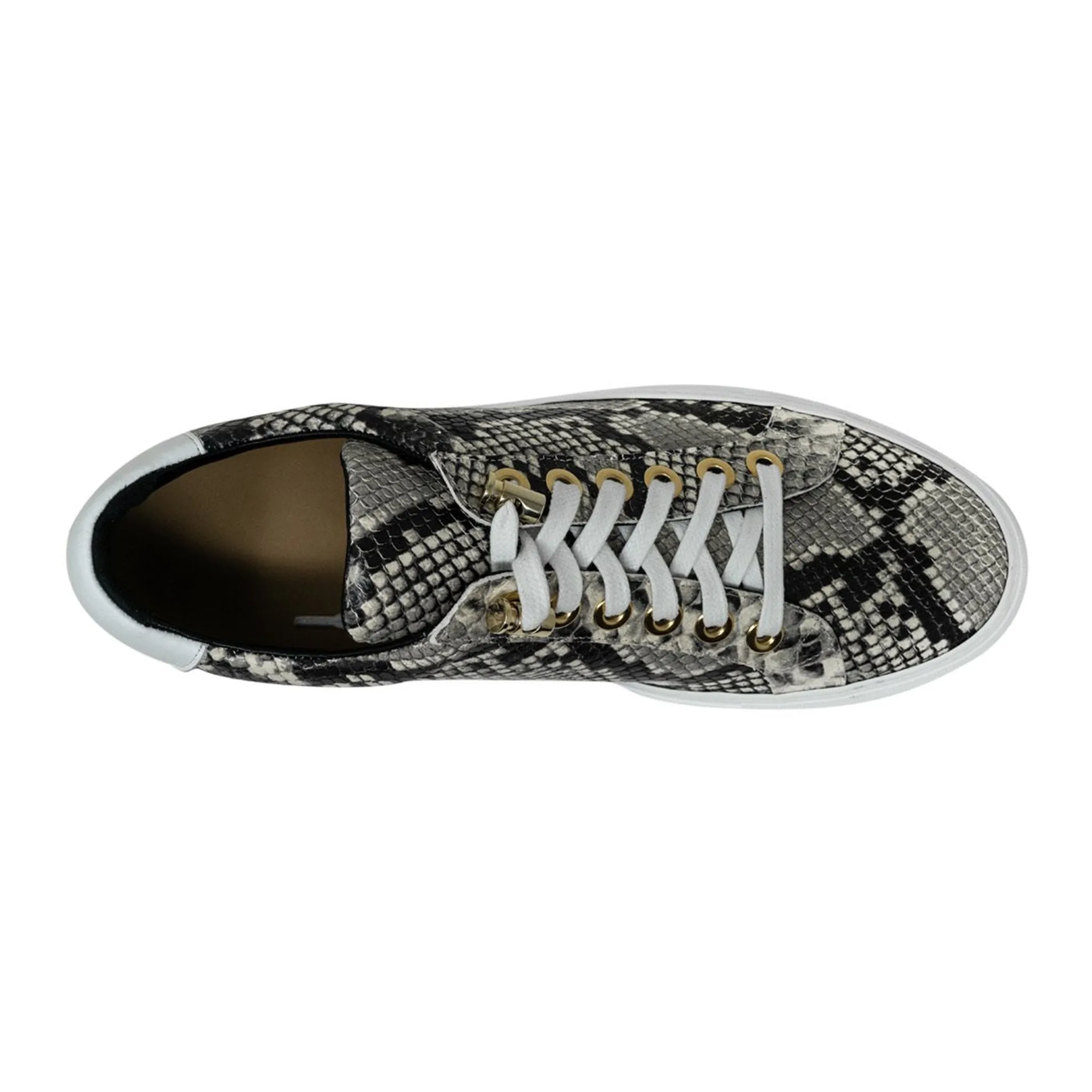 No Limits Low Grey | White | Python X Anuel | Limited Edition