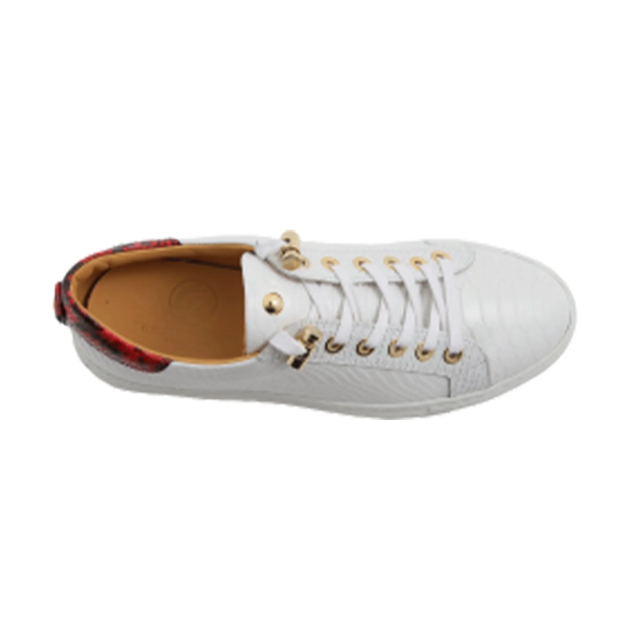 No Limits Low | White | Red | Python | Limited Edition
