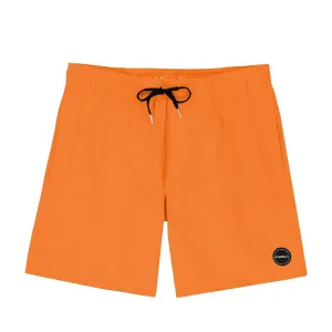 O'Neil Solid 17 Mens Volley Short 2024