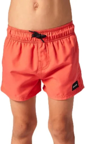 Rip Curl Boys' Offset Volley Boardshorts