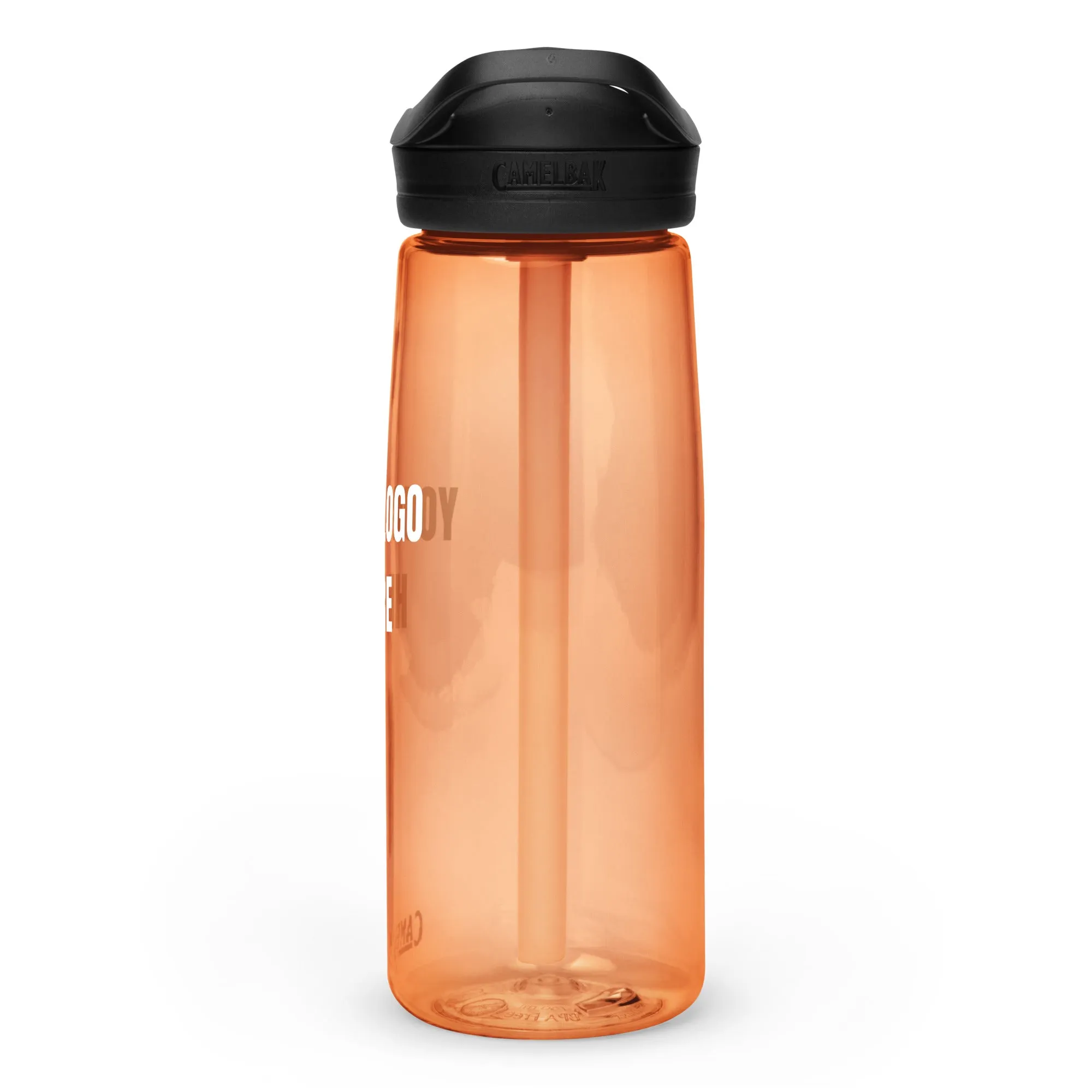 Sports water bottle