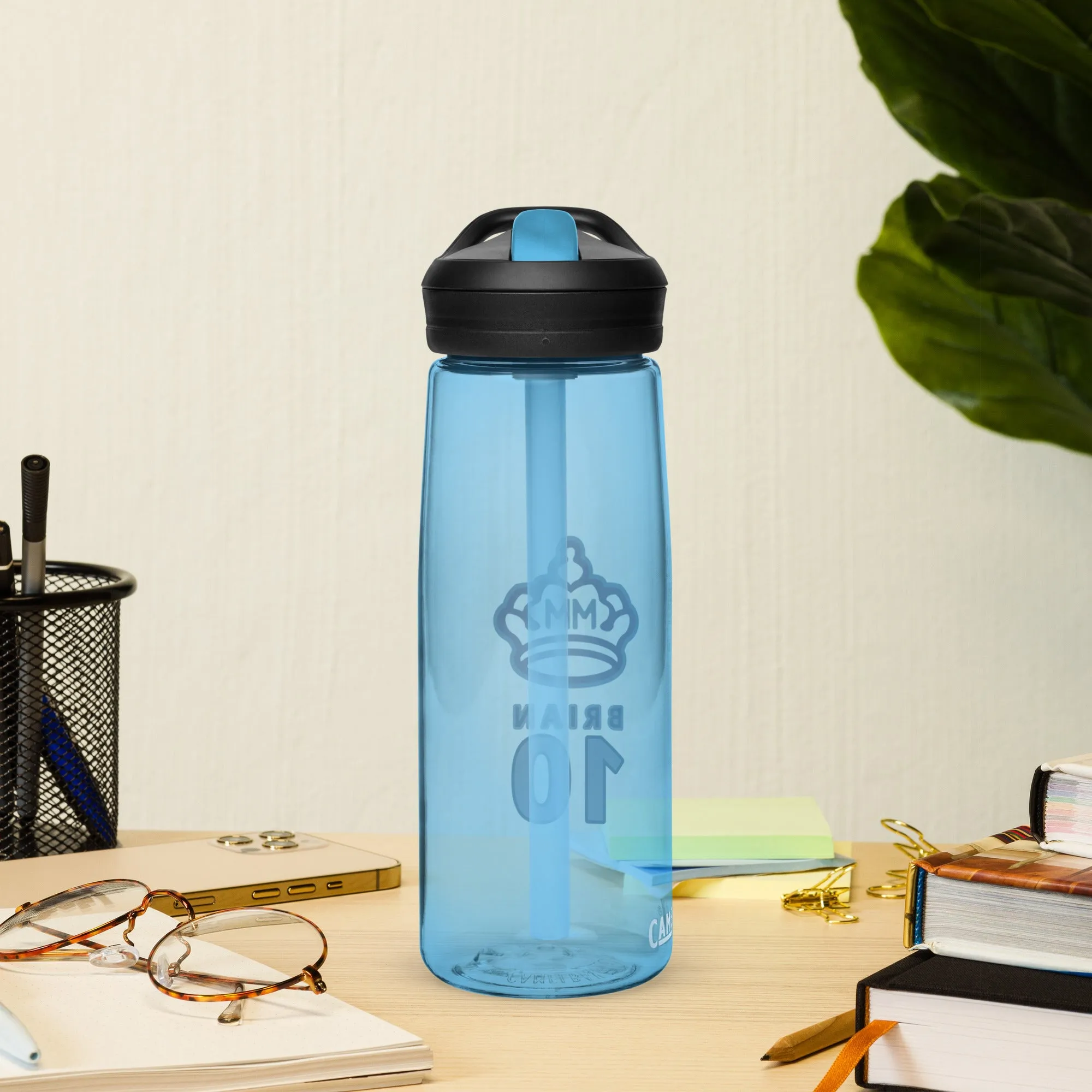 Sports water bottle