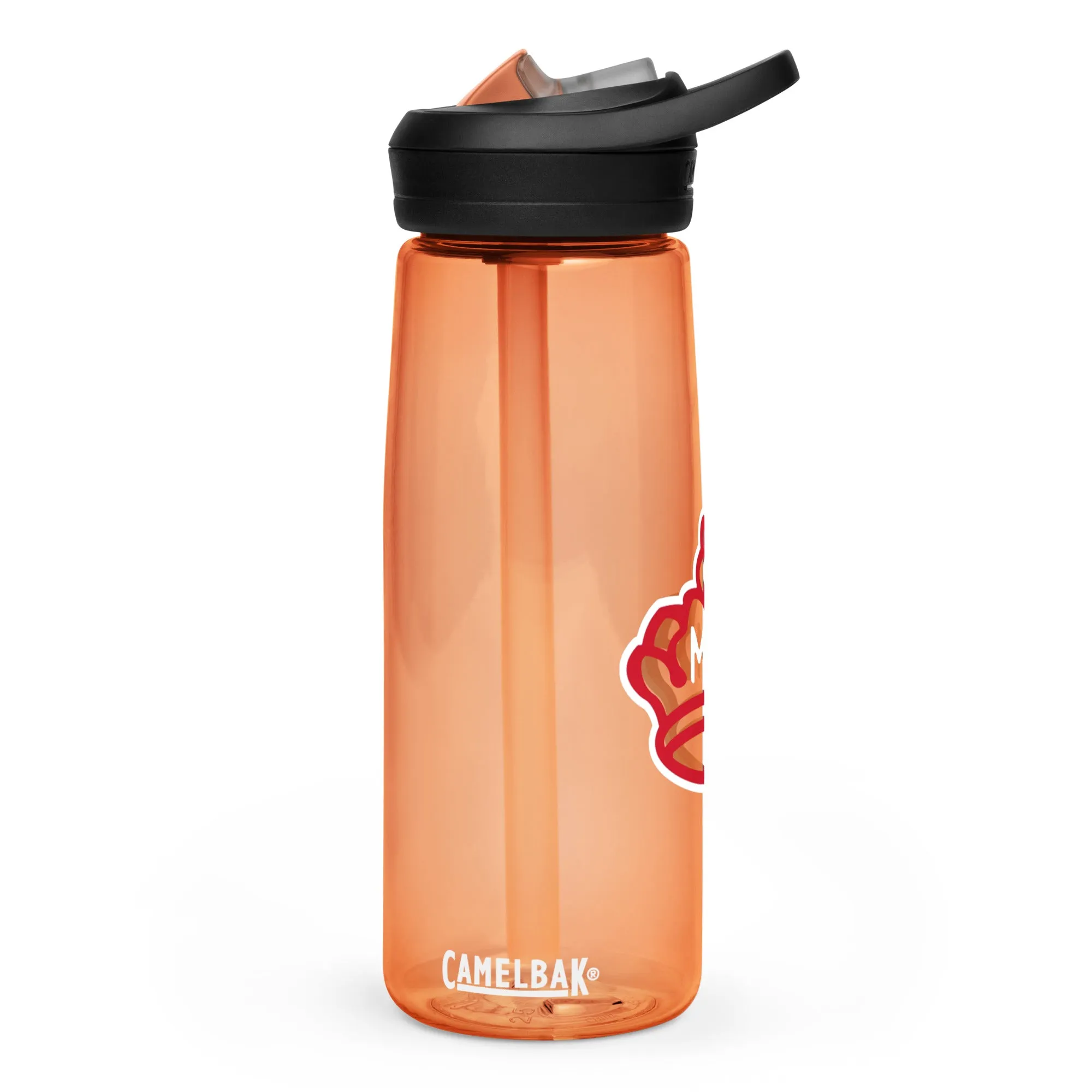 Sports water bottle