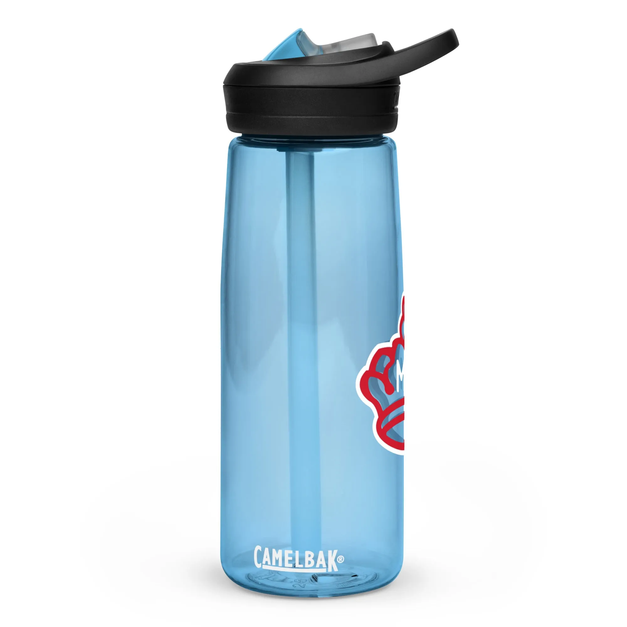 Sports water bottle