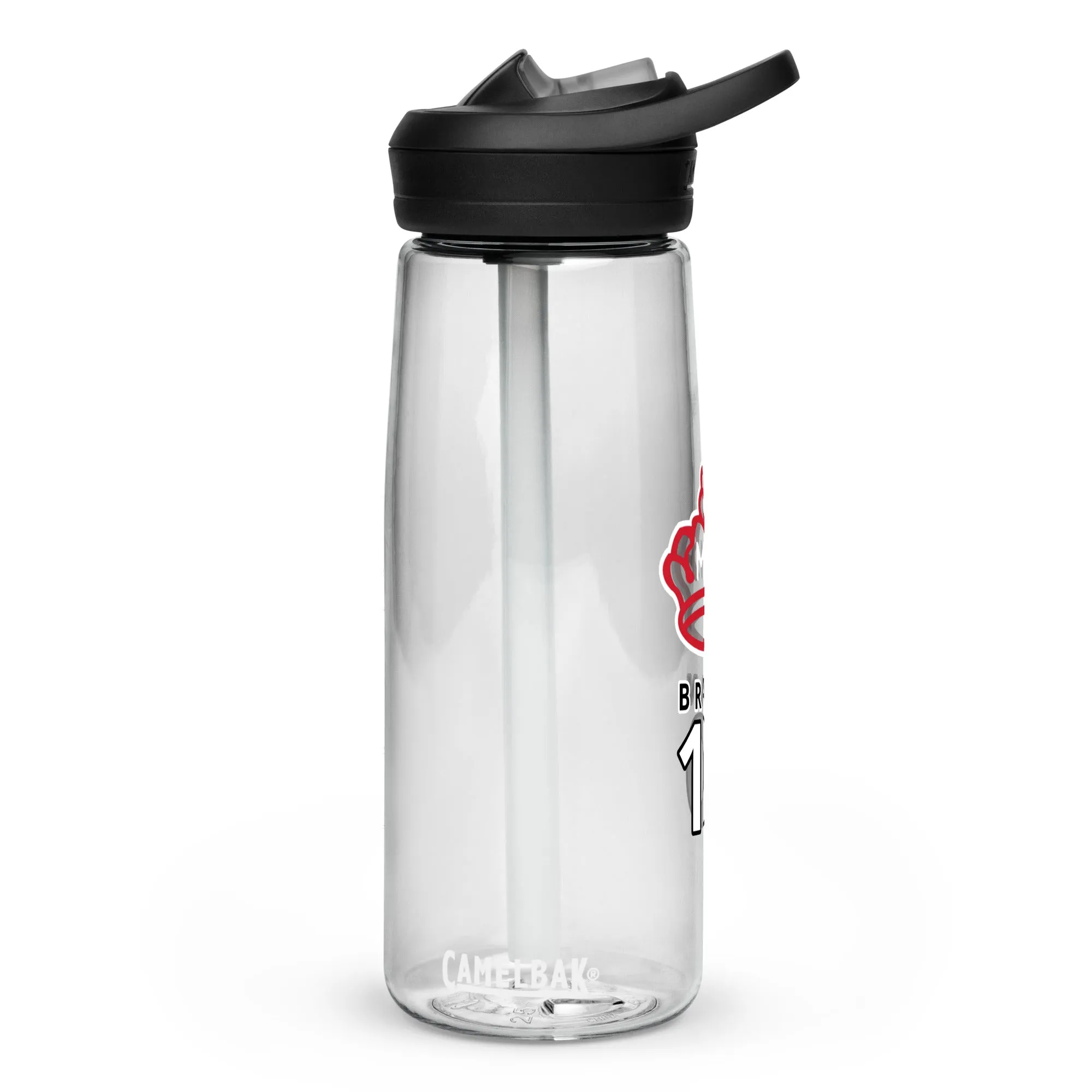 Sports water bottle