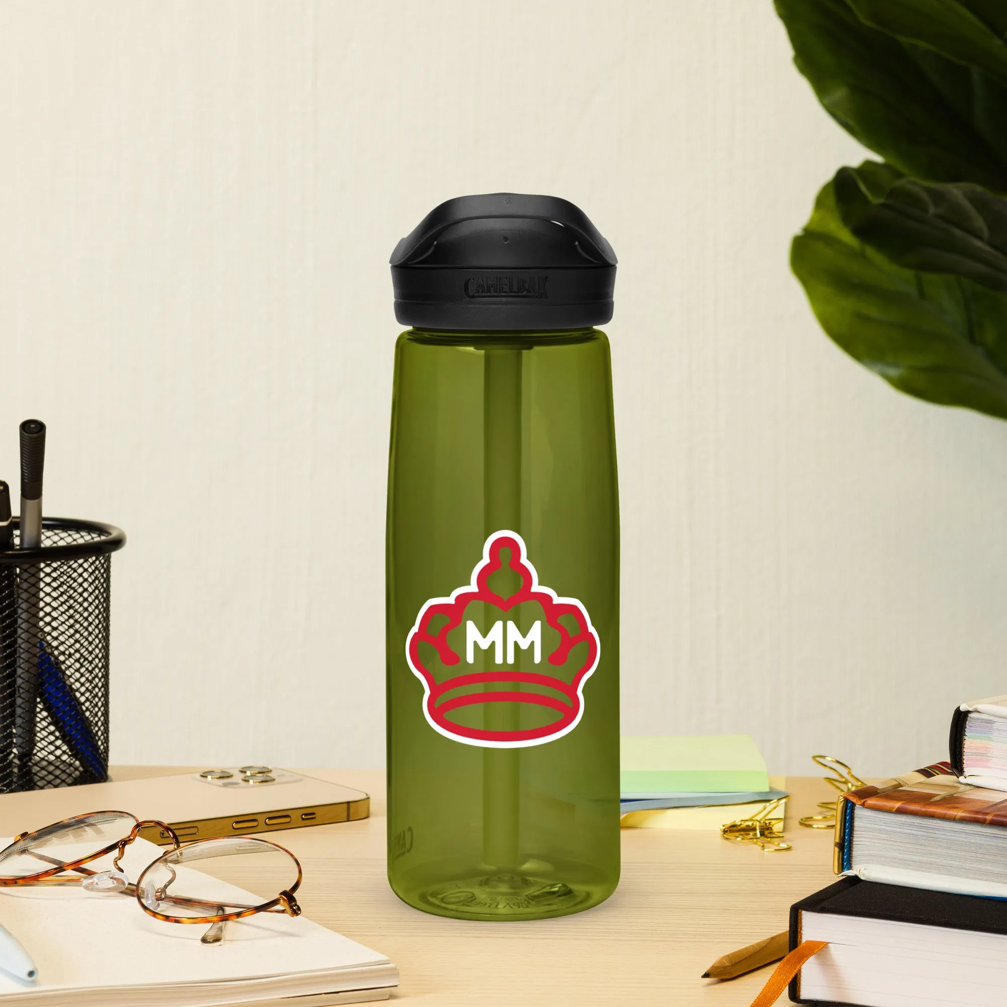 Sports water bottle