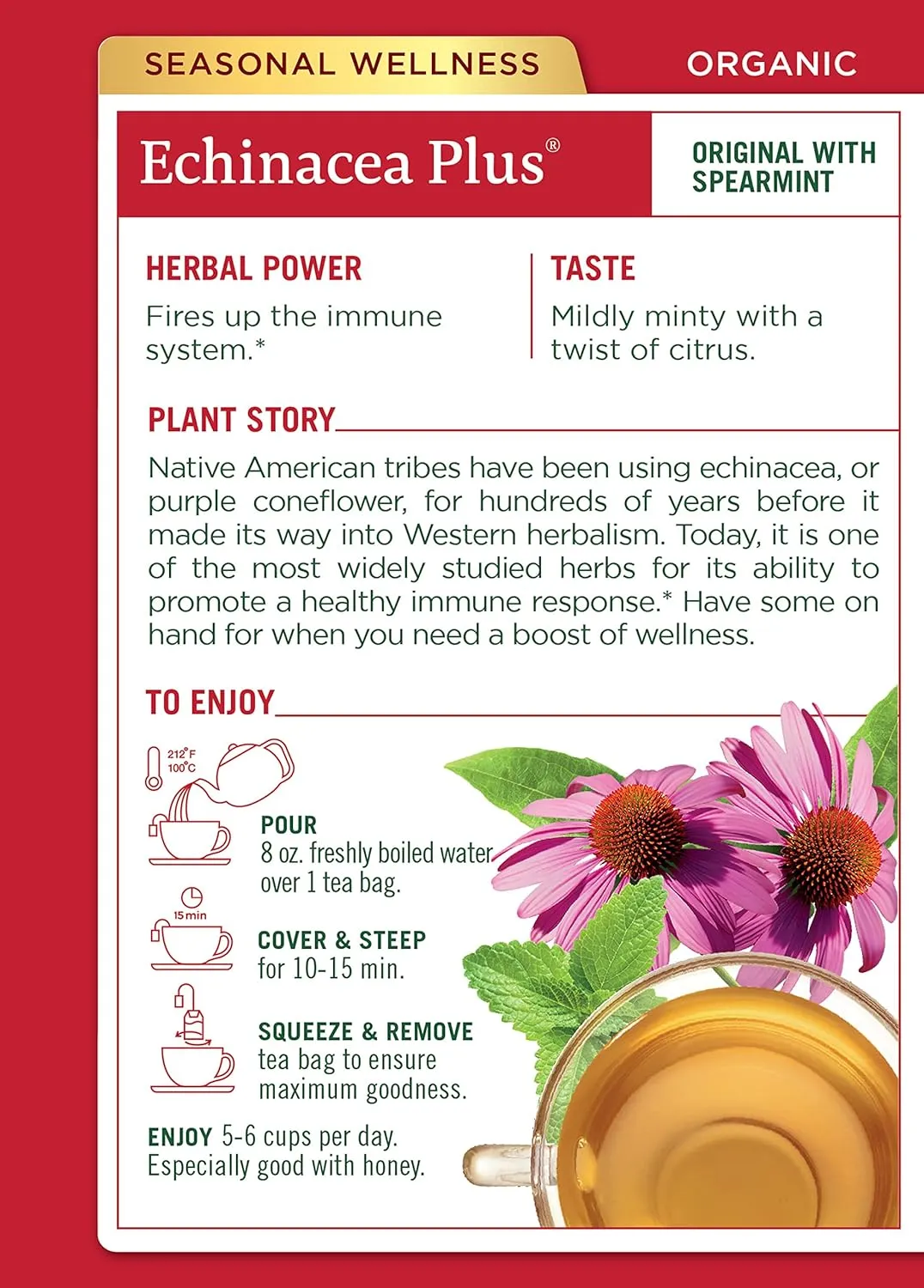 Traditional Medicinals Organic Echinacea Plus with Spearmint Herbal Tea, Promotes Immune Function, (Pack of 3) - 48 Tea Bags Total