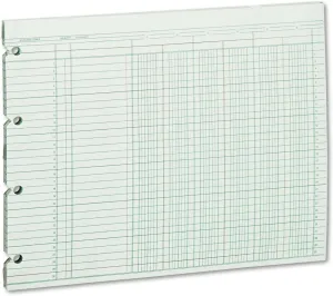 Wilson Jones Accounting Sheets, Six Column, 9-1/4 x 11-7/8, Green, Pack of 100 Loose Sheets (WLJG106)